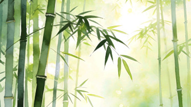 涨粉最厉害的十句话，直接虐哭的emo自嘲文案