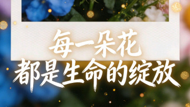 拍美照低调发朋友圈，走心干净朋友圈说说