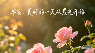 好话大全100句,高情商的暖心成语