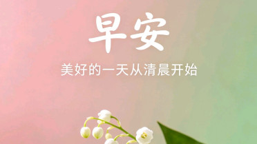 有韵味有意境的句子，写佳人的千古佳句