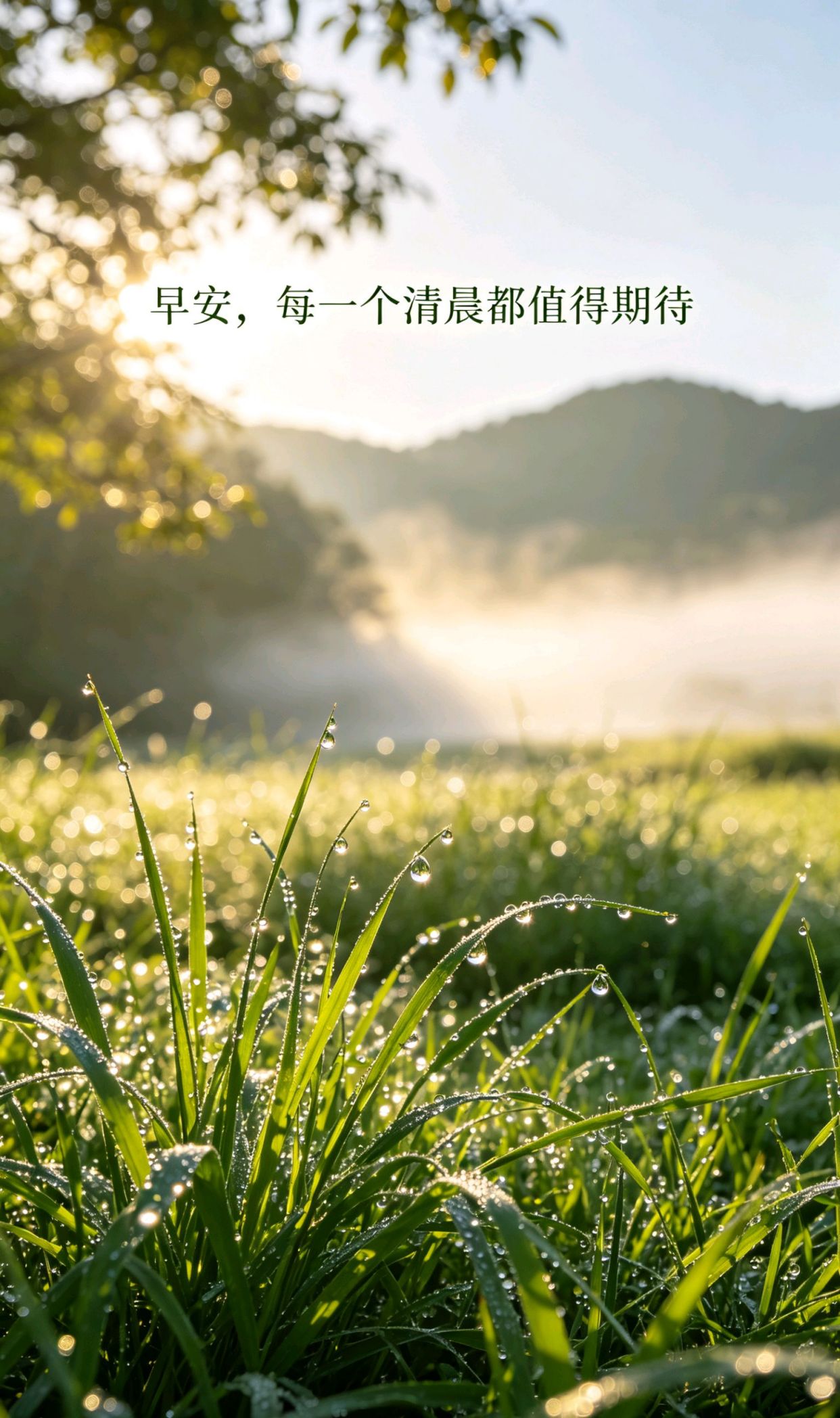 今日小美好文案，适合发圈的精致句子