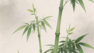 又短又好的句子，学无止境的励志句子