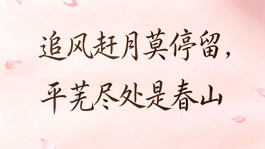感受生活的美好之感悟,开心发圈吸引人的文案